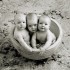 Anne Geddes