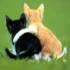 C'est si mignon....!