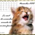 Calendrier suite ....