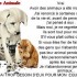 nos amis les chiens