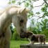 un moment de tendresse