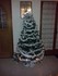 mon beau sapin !!!!