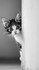 Le chaton ......