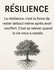 La résilience ....