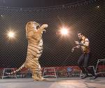 lion dans un cirque