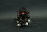 Méli Mélo d'images : les chats noirs 2èm