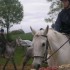 concour obstacle 1 Mai !!!