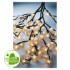 Branches de cerisier_