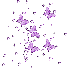 cube de garou