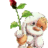 une rose pour mes amies