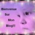 bienvenu(explication)