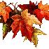 Aux couleurs d'automne