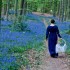 Bright Star