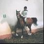 Farouk