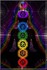 Les chakras majeurs