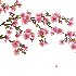 LES GRÂCES