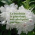 Le bonheur c'est quoi.....