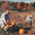 Old Sturbridge Village, 1999.