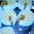 Verrine de velouté de céleri rave au cur