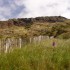 Arthur's Seat