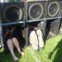 Meadows Festival