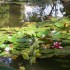 parc Emmanuel Liais- Cherbourg