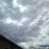 Quelques photos