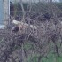 Quelques photos