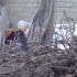 Quelques photos