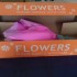 <3<3<3<3Mes fleurs