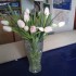 <3<3<3<3Mes fleurs