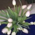 <3<3<3<3Mes fleurs