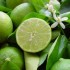 Key lime pie