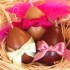 Oeufs de Pâques