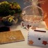 Tranches de vie de Mamie-Canne