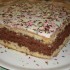 Gâteau au yaourt chocolaté f