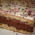 Gâteau au yaourt chocolaté f