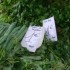 Balade très gourmande à l'î