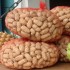 Balade très gourmande à l'î
