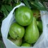 Balade très gourmande à l'î