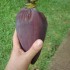 Balade très gourmande à l'î