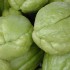 Balade très gourmande à l'î