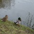Séjour gourmand pour la Saint