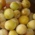 Tarte aux mirabelles