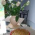 Clafoutis aux mirabelles