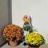 Cupcakes d'Halloween au potiro