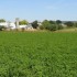 Balade gourmande en Pennsylvan