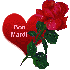 Bonjour tout le monde