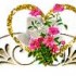 Bonjour tout le monde.........
