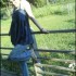 Un petite vote pour ma fille S